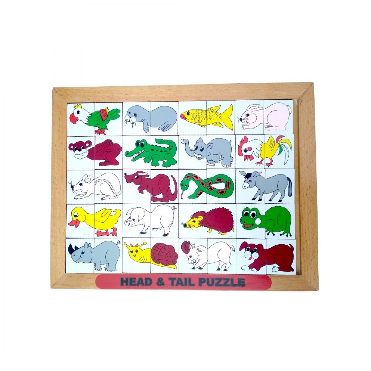 Educational Point of Light Pvt. Ltd. || Head &amp; Tail Puzzle